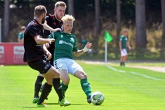 Elmshorn04