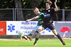 Elmshorn14