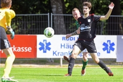 Elmshorn15