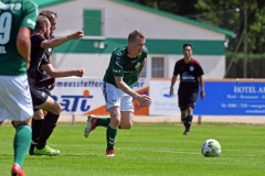 Elmshorn17