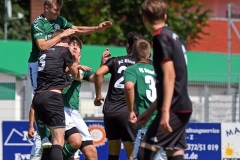 Elmshorn36