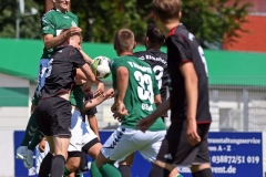 Elmshorn37