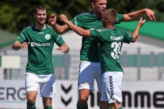 Elmshorn41