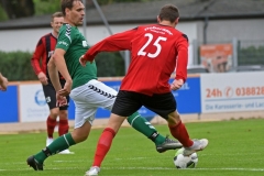Doberan17