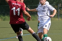 Glasin03