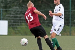Glasin11