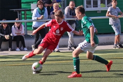 D1Hagenow2