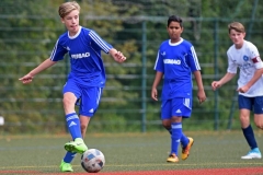 Neukloster24