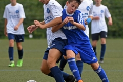 Neukloster35