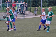 D1_SSC1