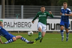 Ludwigslust09