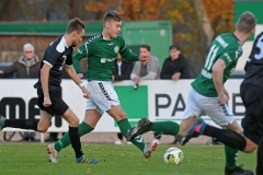 Luebz31