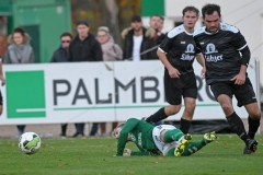 Luebz50
