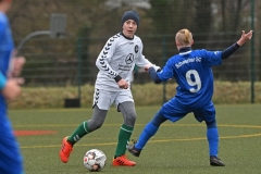 D1_Schweriner_SC_11