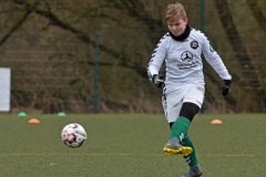 D1_Schweriner_SC_31