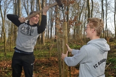 Fruehjahrsputz11