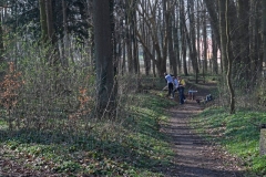 Fruehjahrsputz17