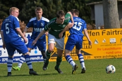 Ludwigslust13