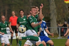Ludwigslust46