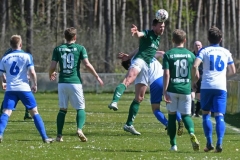 Polz11