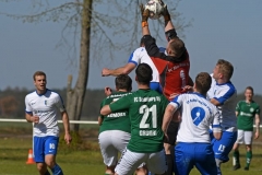 Polz53