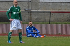 Hagenow30