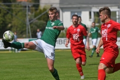 Dynamo33