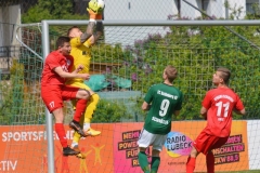 Dynamo37