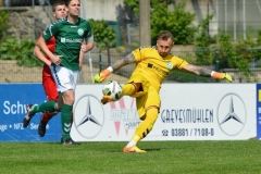 Dynamo41