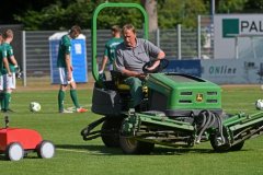 Holstein_Kiel_04
