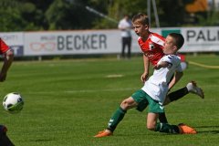 E2_SV_Kluetz_09