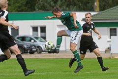 PSVWismar33