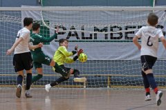 Palmberg_Cup_C_044