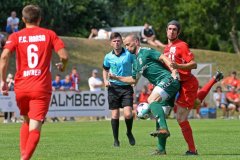 Pokal_Hansa_18