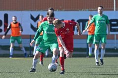 Siedenbollentin24
