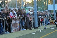Dynamo15