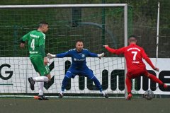 Dynamo33
