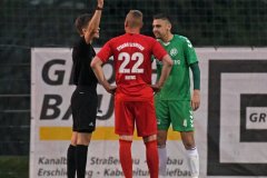 Dynamo37