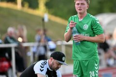 Pauli32