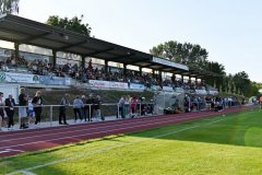 Pauli43