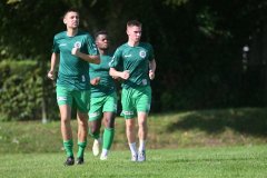Carlow17