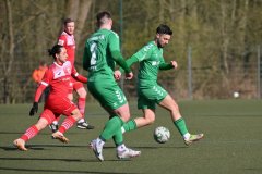 Greifswald50