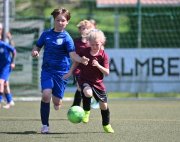 F_TLB_Cup_024