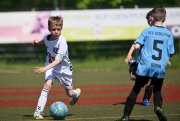 F_TLB_Cup_033