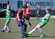 F_TLB_Cup_054