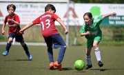 F_TLB_Cup_058