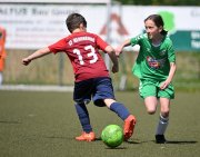 F_TLB_Cup_059