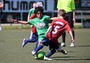 F_TLB_Cup_062