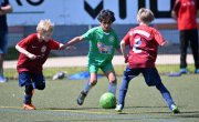 F_TLB_Cup_066
