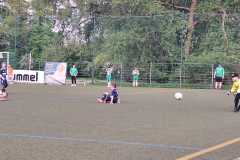 23_24_E1_Rehnaer_SV-11
